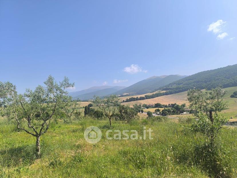 Villa in Località Colle — foto 110 di 111