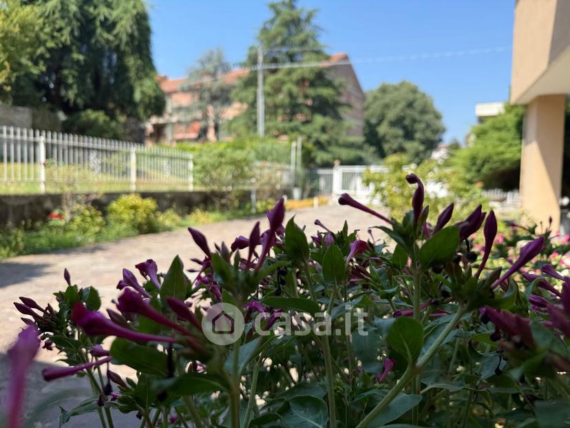 Villa in Via Luigi Barbieri 72 — foto 51 di 57
