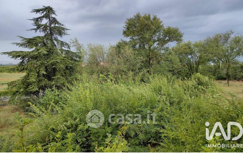 Villa in Strada Teze — foto 3 di 18