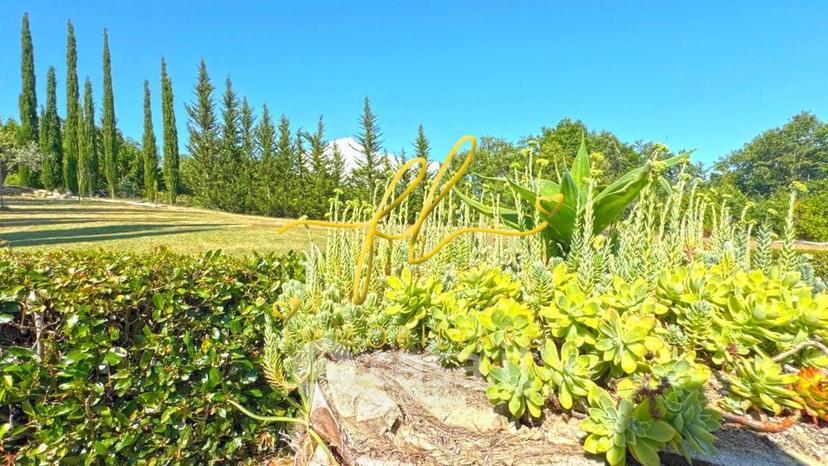 Villa in Località Gualda — foto 40 di 42