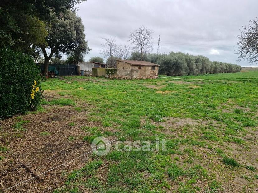 Appartamento in Località La Sdriscia — foto 10 di 54