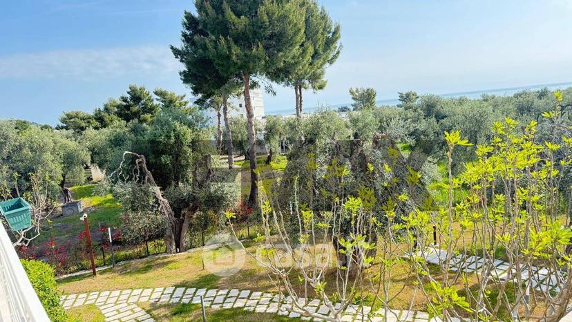 Monolocale in Contrada Pilone del Monaco 20 — foto 7 di 31
