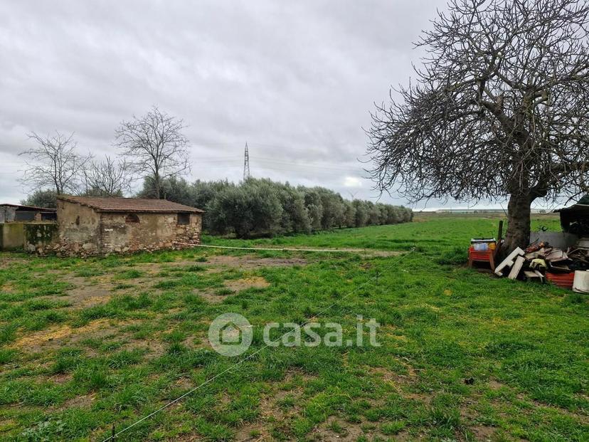 Appartamento in Località La Sdriscia — foto 52 di 54