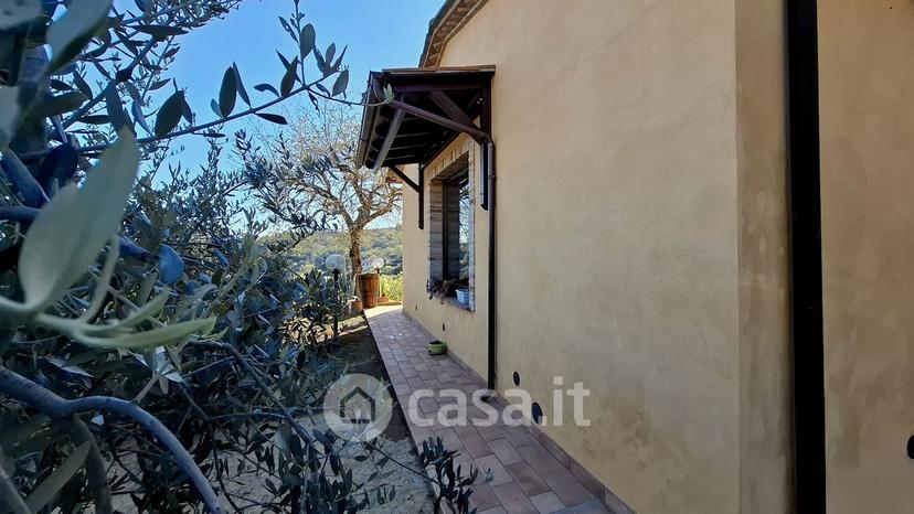 Villa in Via della Rondolina — foto 14 di 67