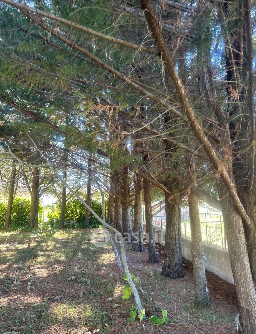 Villa in Contrada Frusci — foto 4 di 65