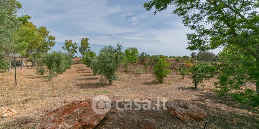 Villa in Strada Comunale Brindisi 6 — foto 53 di 54