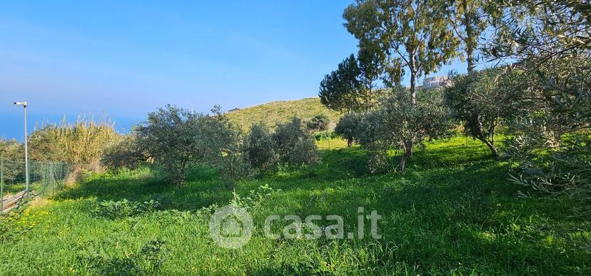 Villa in Contrada Sarmuci — foto 38 di 93