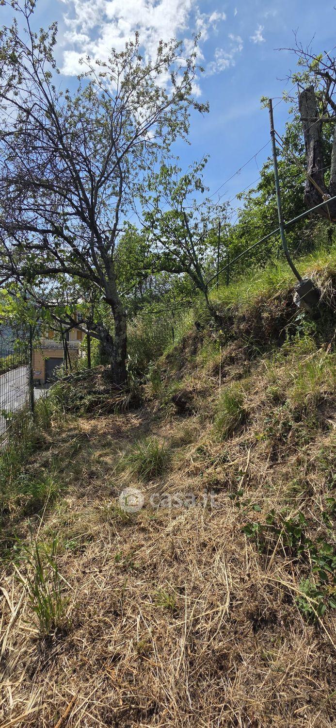 Bilocale in Salita Bisagno 2 — foto 50 di 58