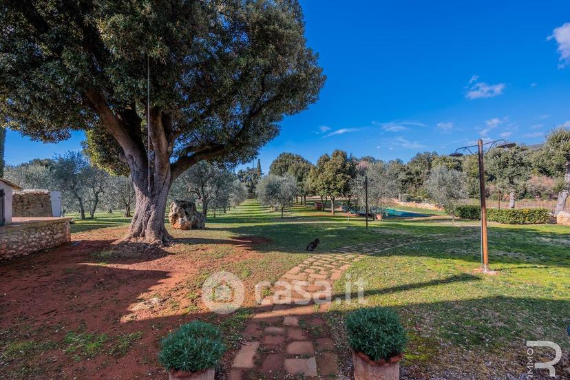 Villa in Località San Donato — foto 41 di 43