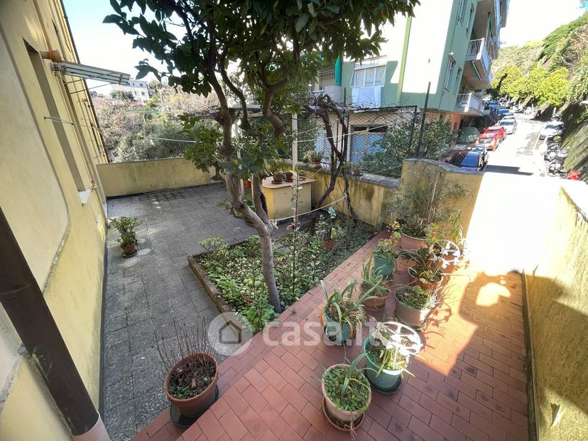 Trilocale in Via Amerigo Vespucci 40 — foto 25 di 28