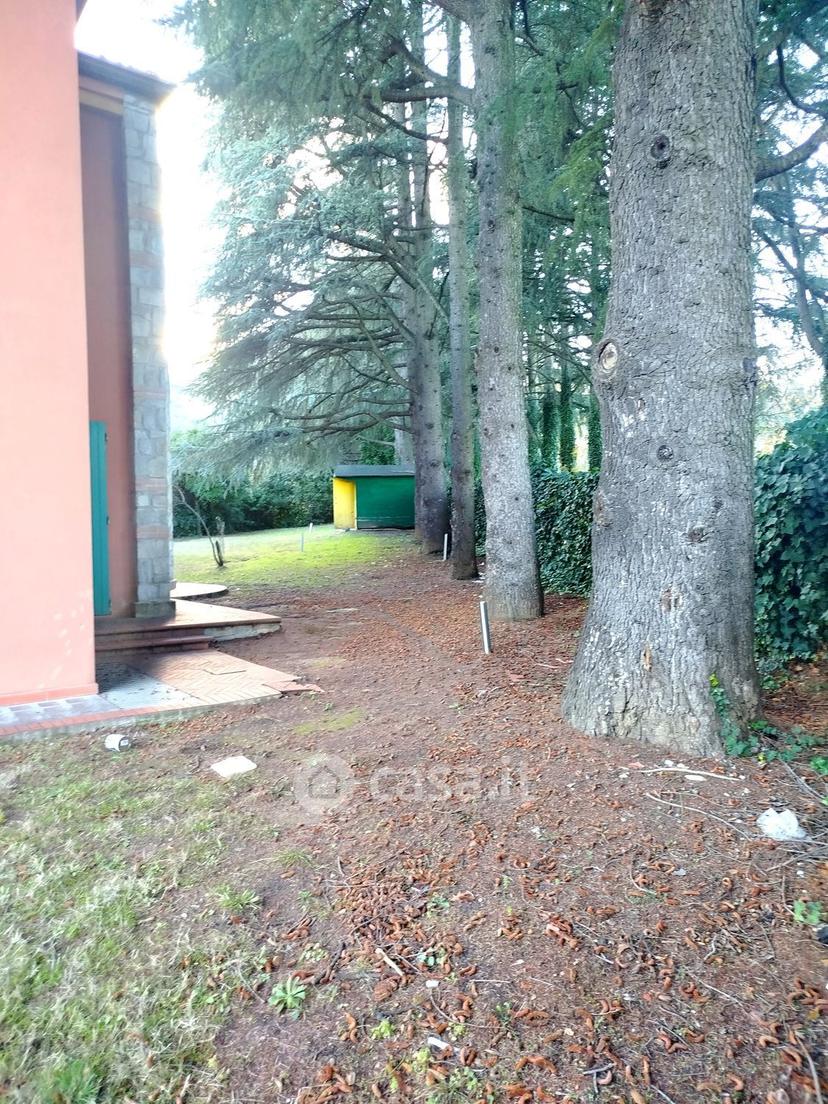 Villa in Via dei Cedri — foto 7 di 34