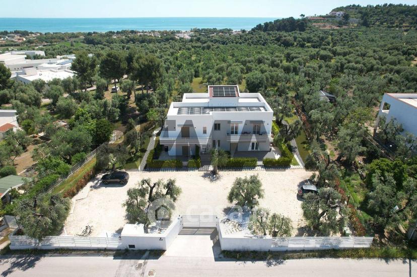 Monolocale in Contrada Pilone del Monaco 20 — foto 6 di 31