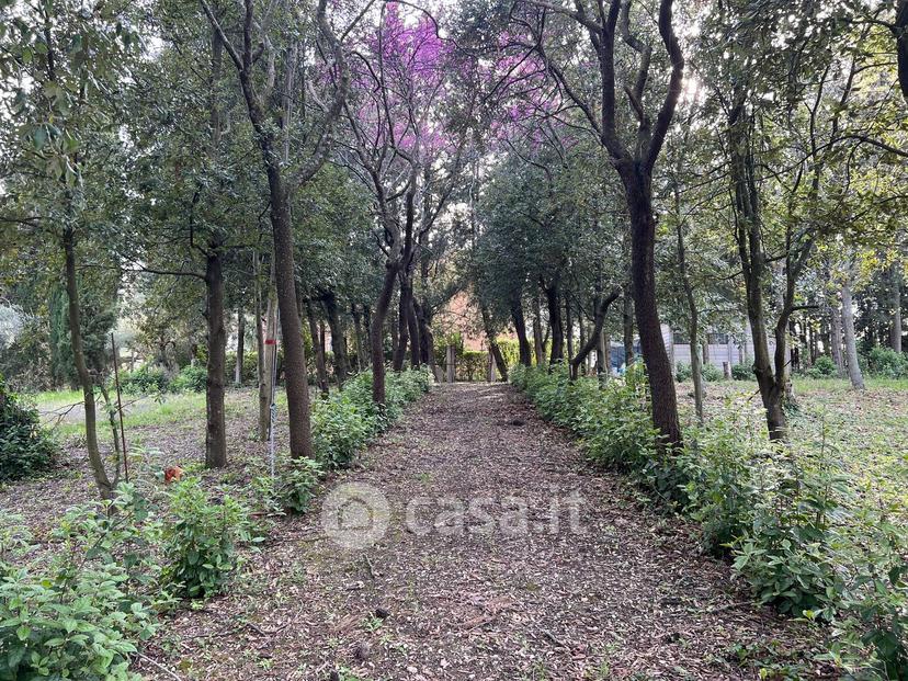 Villa in Contrada Valchiusa — foto 11 di 43