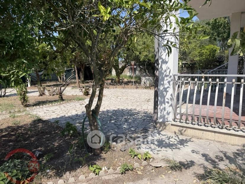 Villa in Santa Cruz — foto 102 di 102
