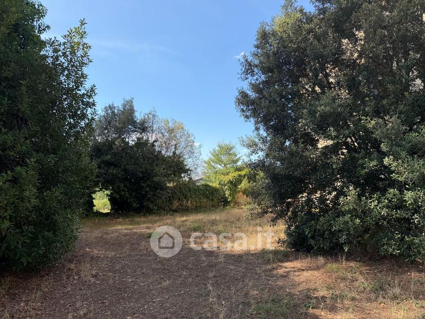 Villa in Strada Provinciale di Monteaperti — foto 7 di 54