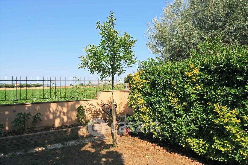 Trilocale in Via della Fattoria Romana — foto 13 di 16