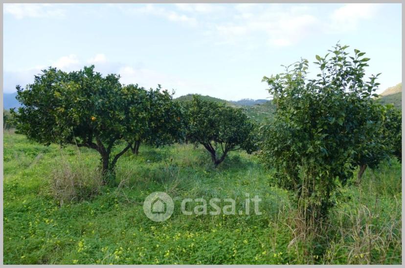 Appartamento in Corso Umberto I — foto 3 di 32