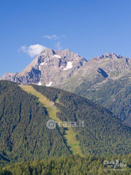 Trilocale in Via Panoramica 26 — foto 21 di 39