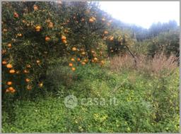 Appartamento in Corso Umberto I