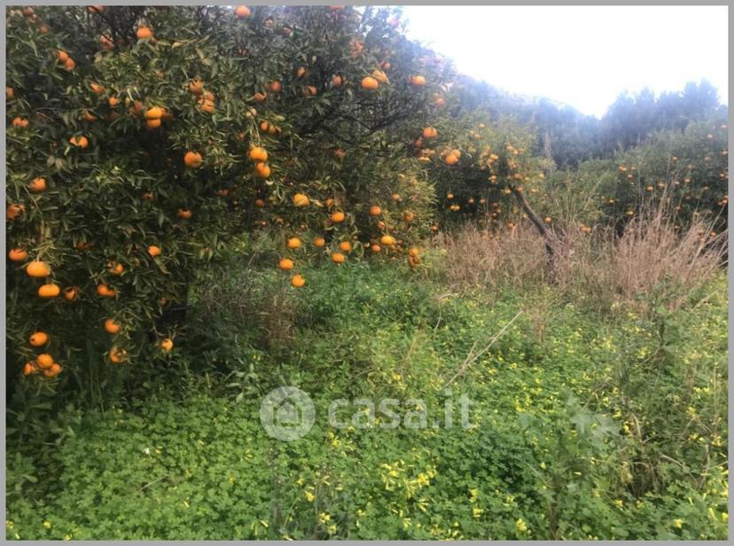 Appartamento in Corso Umberto I