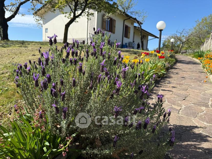 Villa in Località Asci 10 — foto 34 di 62