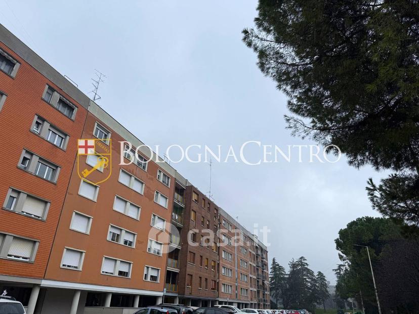 Appartamento in Via Alceste de Ambris — foto 31 di 34
