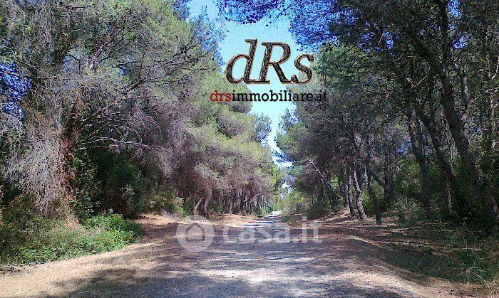 Quadrilocale in Santa Pelagina — foto 33 di 36