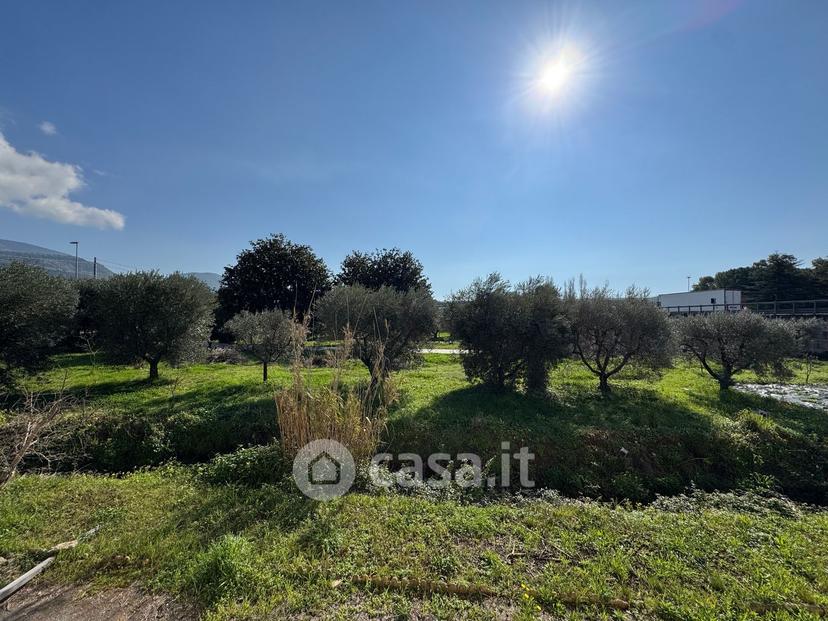 Villa in Via Appia Antica 57 — foto 41 di 77