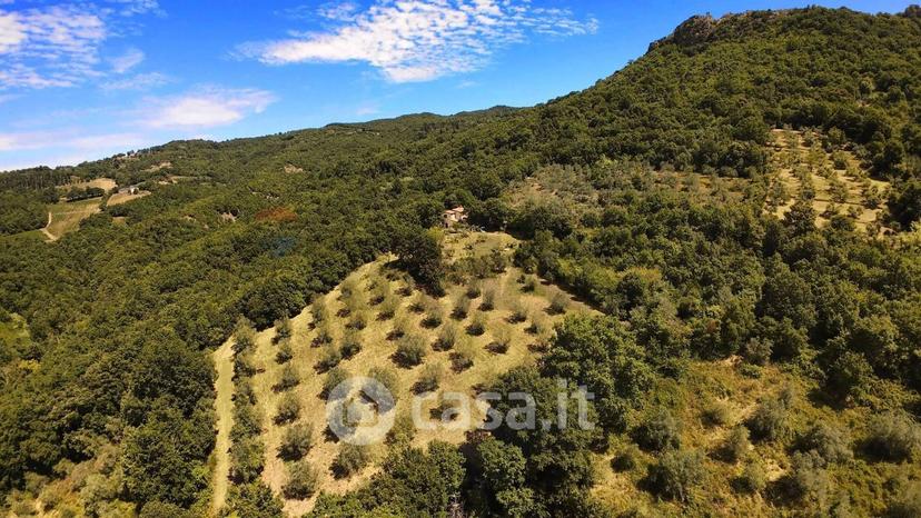 Villa in Strada delle Cerbaie — foto 17 di 63
