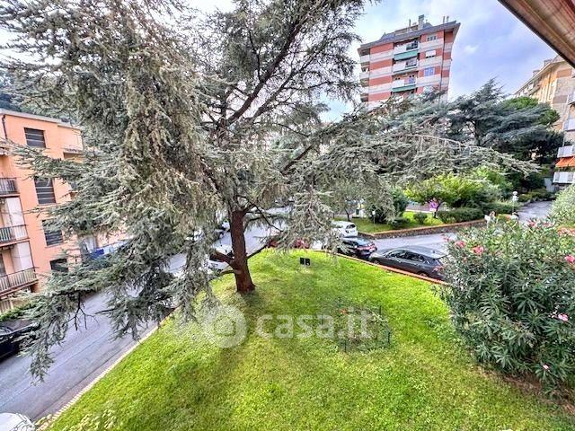 Trilocale in Via Luigi Rizzo — foto 23 di 40