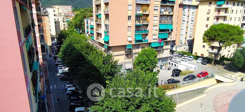 Trilocale in Via Domenico Fiasella — foto 26 di 32