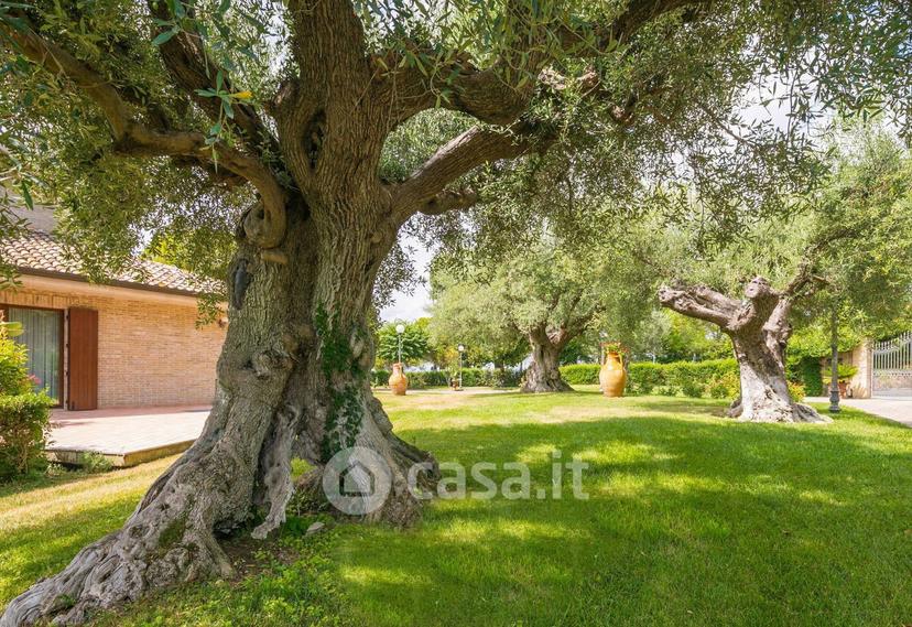 Villa in Contrada San Domenica — foto 8 di 50