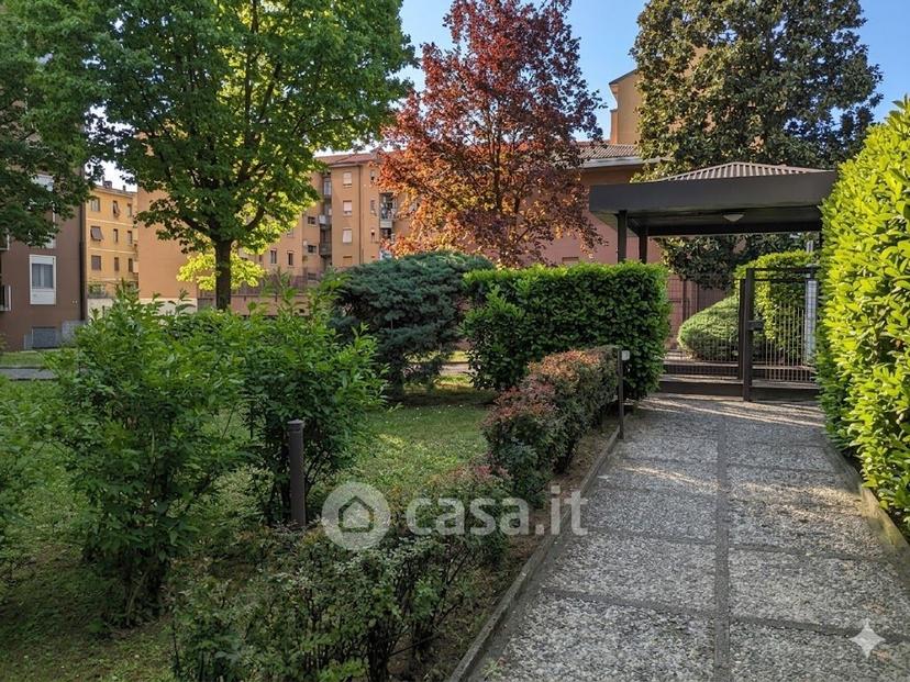Trilocale in Via Carlo Amati 58 — foto 14 di 52