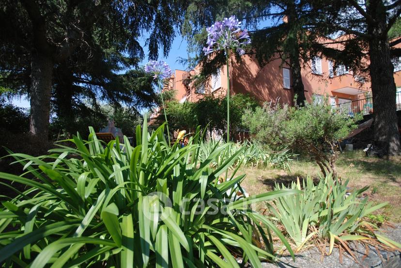 Appartamento in Via delle Agave — foto 4 di 32