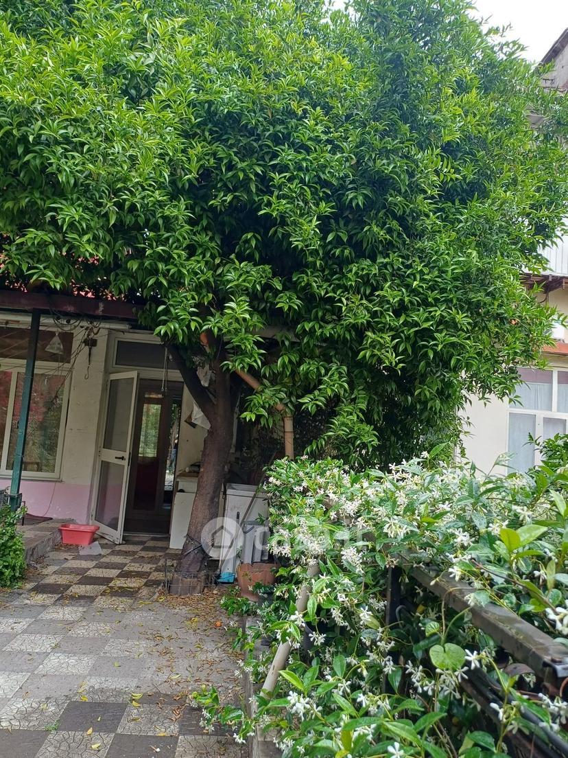 Appartamento in Via Francesco Saverio Correra — foto 26 di 32