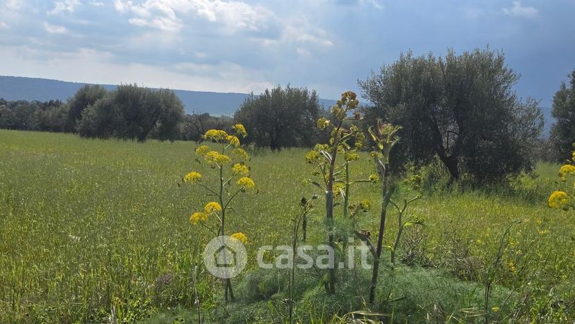 Villa in Cavasecca — foto 22 di 25
