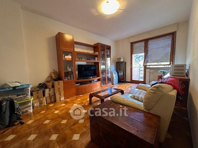 Trilocale in Via Amerigo Vespucci — foto 17 di 21