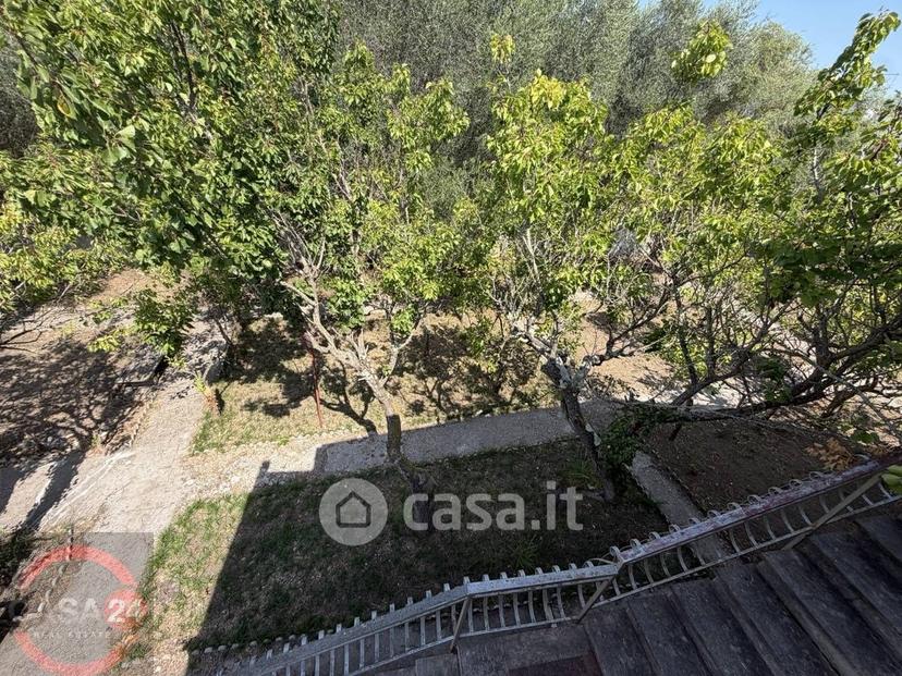 Villa in Santa Cruz — foto 101 di 102