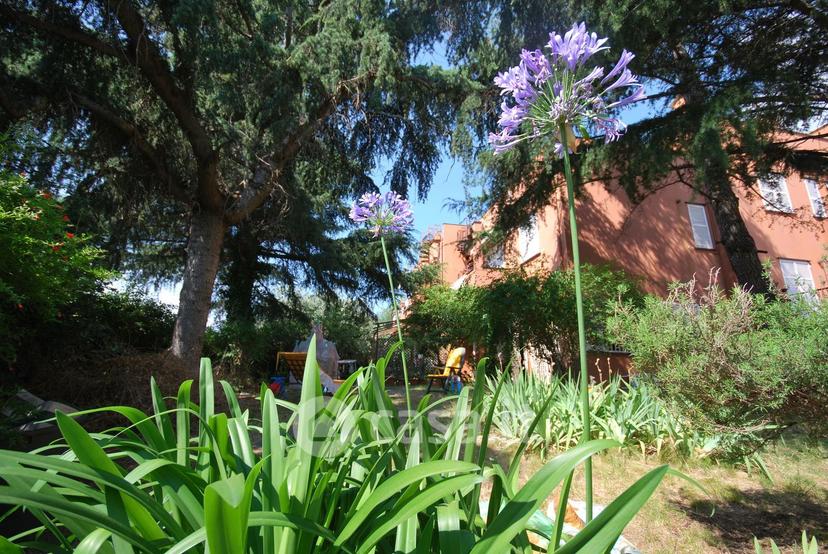 Appartamento in Via delle Agave — foto 8 di 32