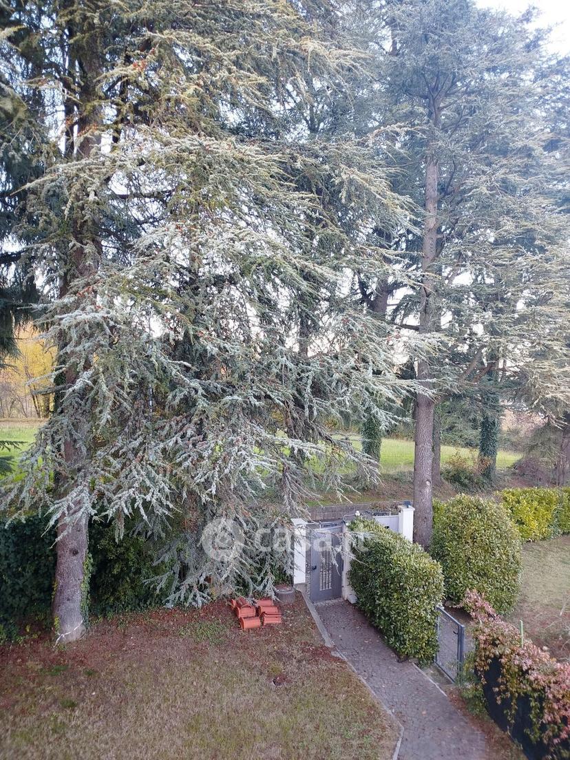 Villa in Via dei Cedri — foto 19 di 34