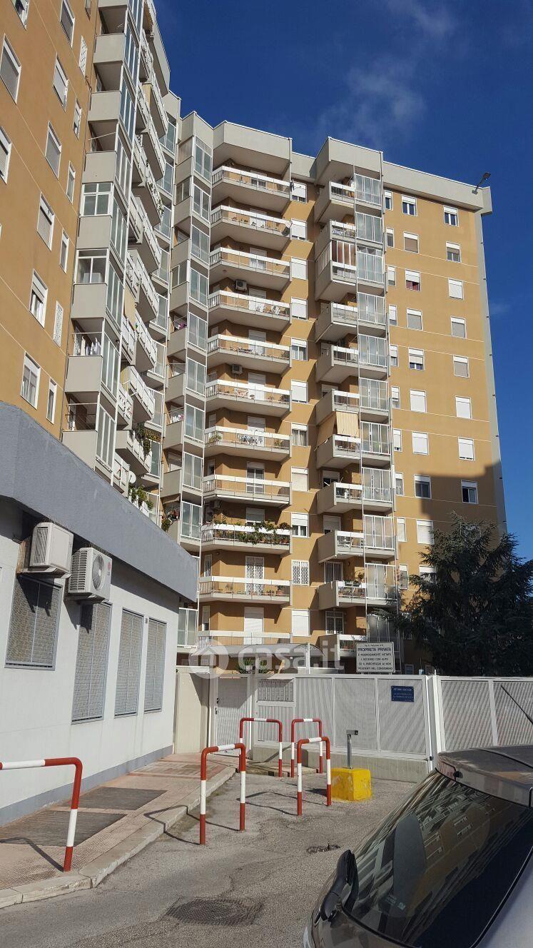 Stanza in Via Giustino Fortunato 8 N — foto 2 di 8