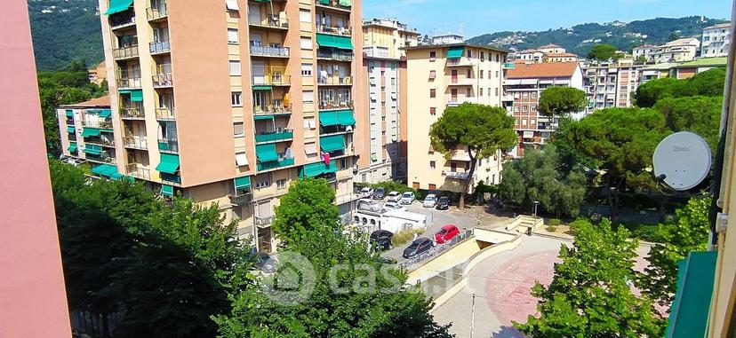 Trilocale in Via Domenico Fiasella — foto 18 di 32