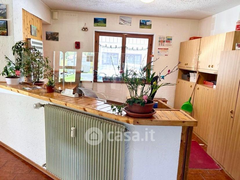 Monolocale in Tonale — foto 2 di 22