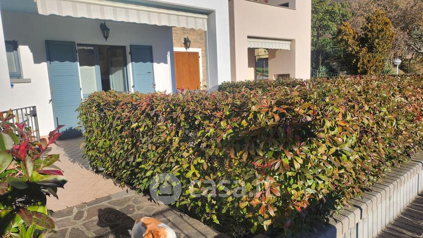 Trilocale in Via dei Carpini 60 — foto 20 di 49