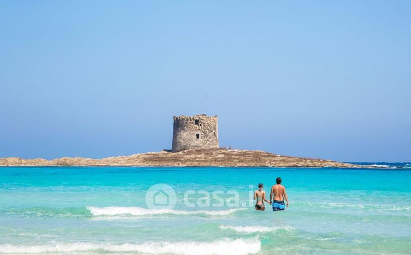 Bilocale in Country Paradise — foto 21 di 25