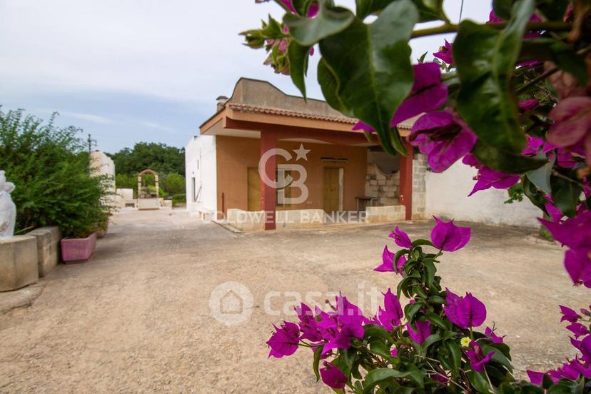 Villa in Strada Statale 16 Adriatica — foto 48 di 50