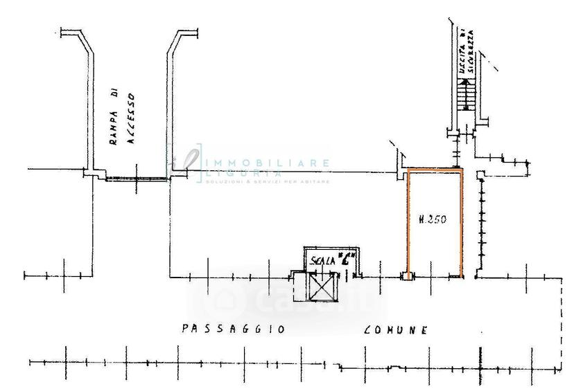 Quadrilocale in Via Bologna 6 — foto 19 di 47