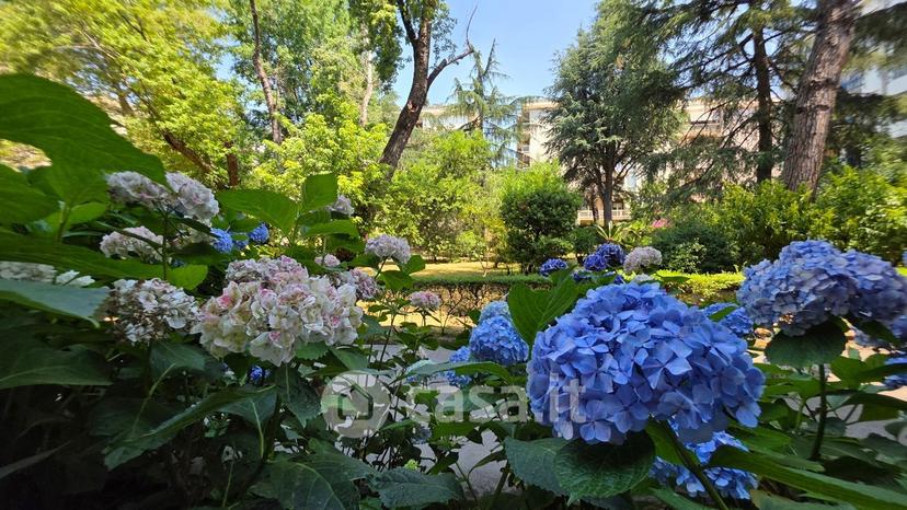 Appartamento in Via Donato Bramante 19 — foto 27 di 52