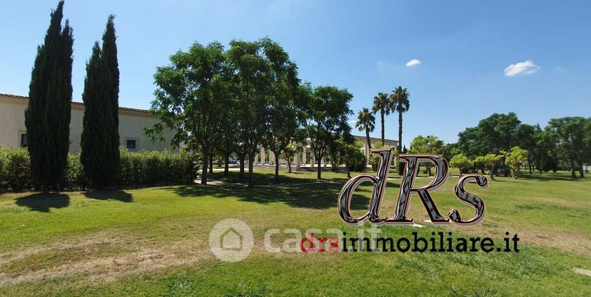 Trilocale in Borgo San Basilio — foto 9 di 51
