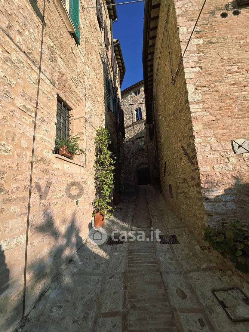 Appartamento in Via dell'Ospedale 48 — foto 24 di 35